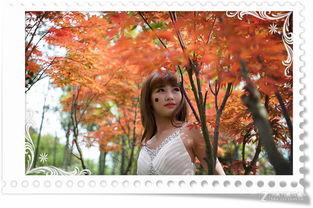 人像视频及拍摄镜头国产,国产镜头下的经典人像影像