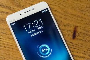 国产玩具视频软件手机vivo